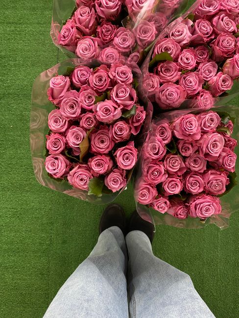 A top-down view of four large bouquets of fresh pink roses, each wrapped in transparent plastic with green leaves visible among the flowers, placed on a green carpeted surface. The person taking the p